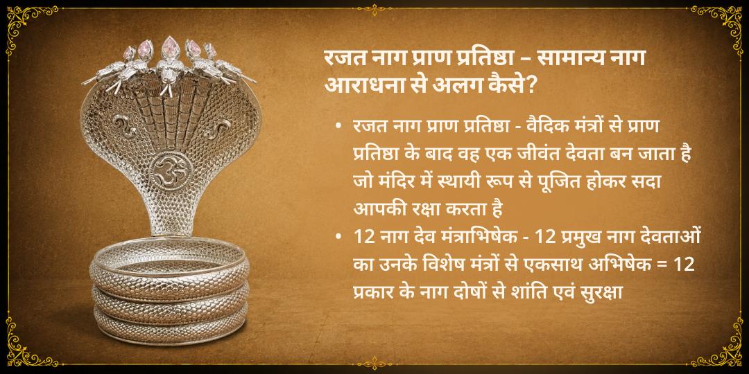 नाग पंचमी रजत नाग प्राण प्रतिष्ठा एवं 12 नाग देवता मंत्र अभिषेक