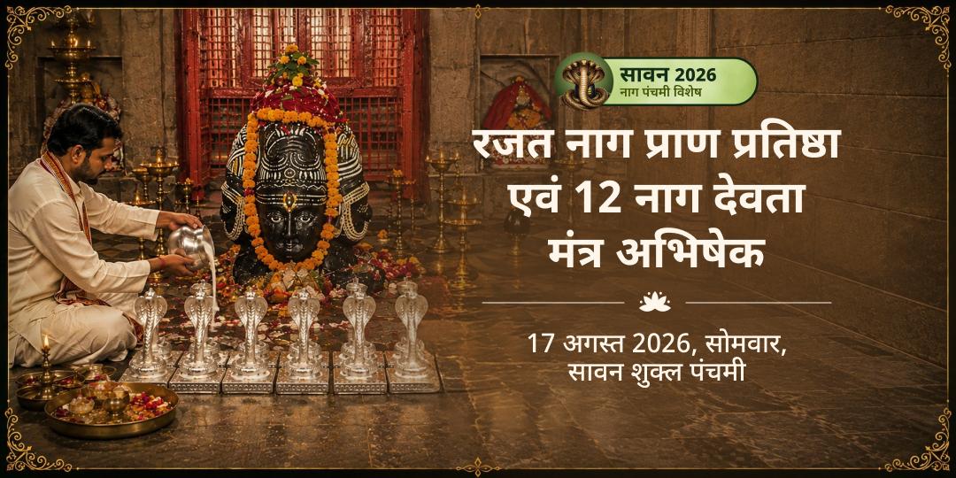नाग पंचमी रजत नाग प्राण प्रतिष्ठा एवं 12 नाग देवता मंत्र अभिषेक