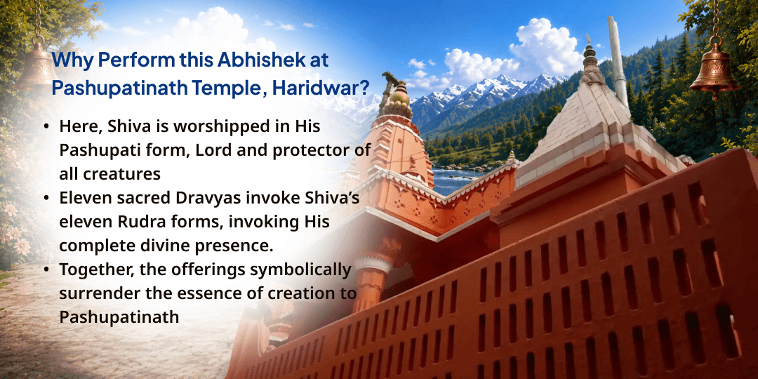 Antim Sawan Somwar Ekadasa 11 Dravya Maha Abhishek