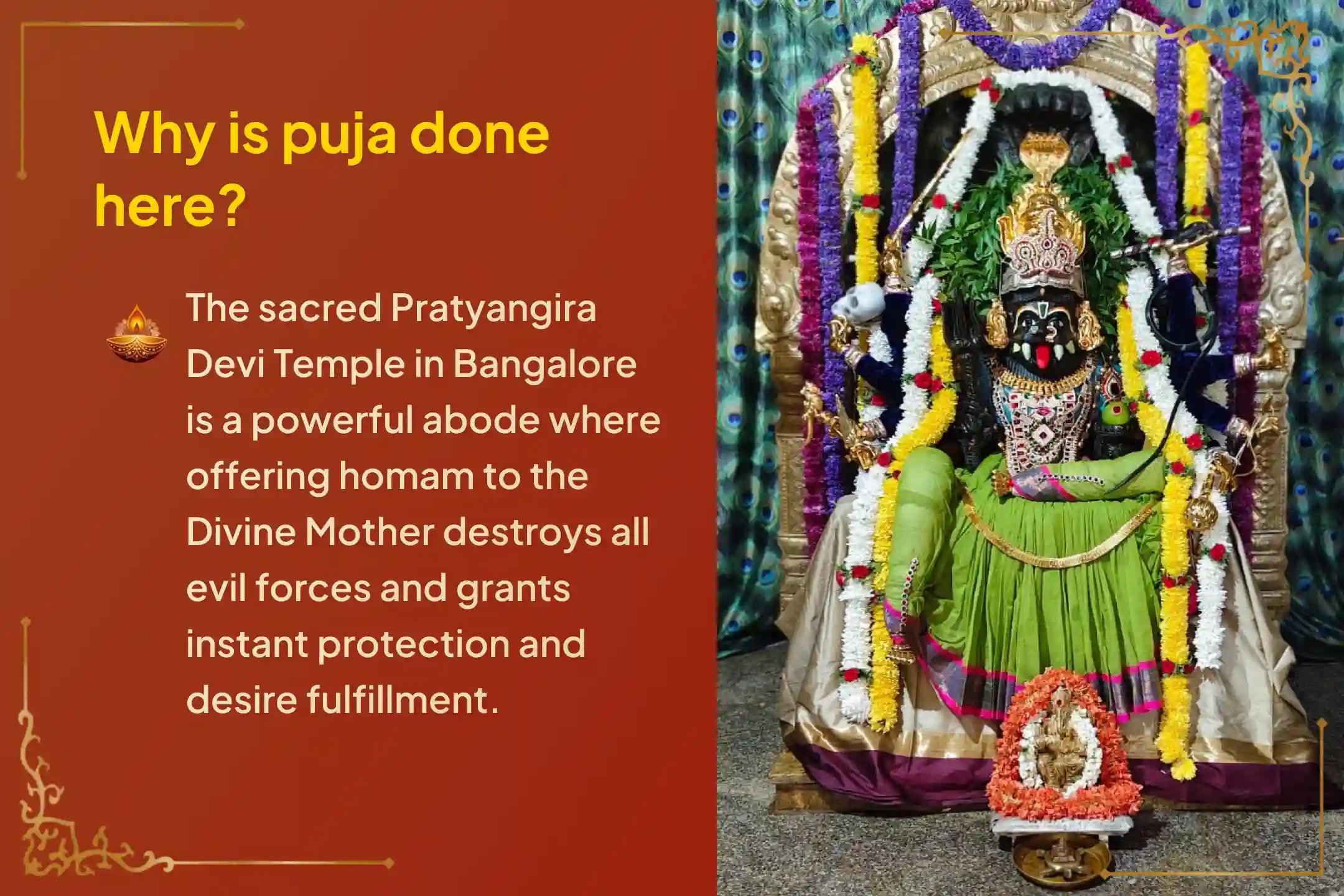 🕉️ Participate in the Masa Durga Ashtami special Chandi Homa at the powerful Kalighat Shaktipeetha for getting rid of evil eye, nazar dosha, or negativity🙏