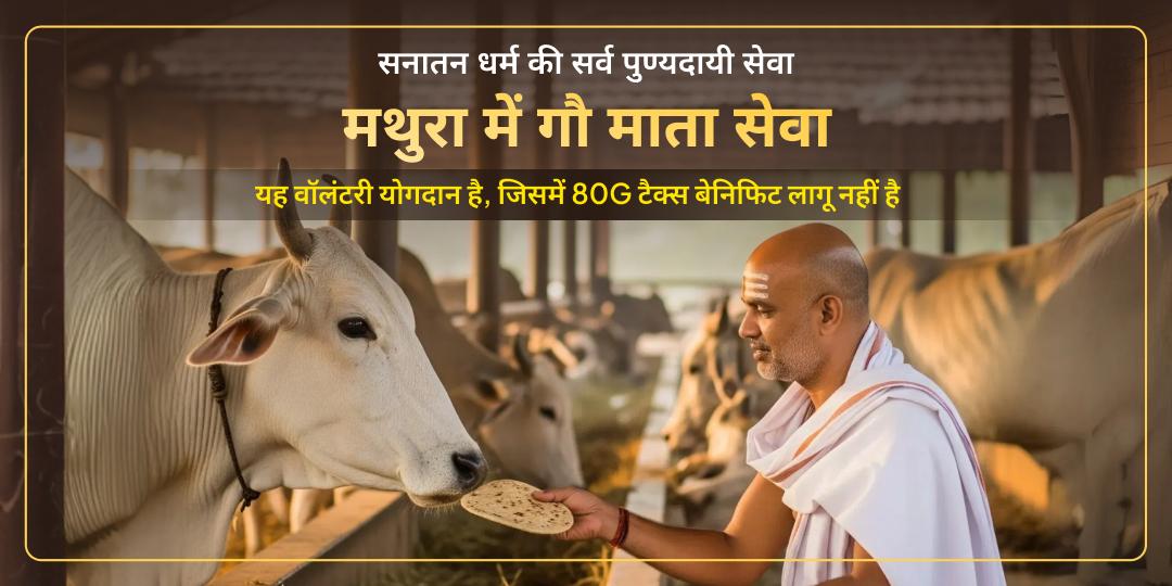 मथुरा में गौ माता सेवा