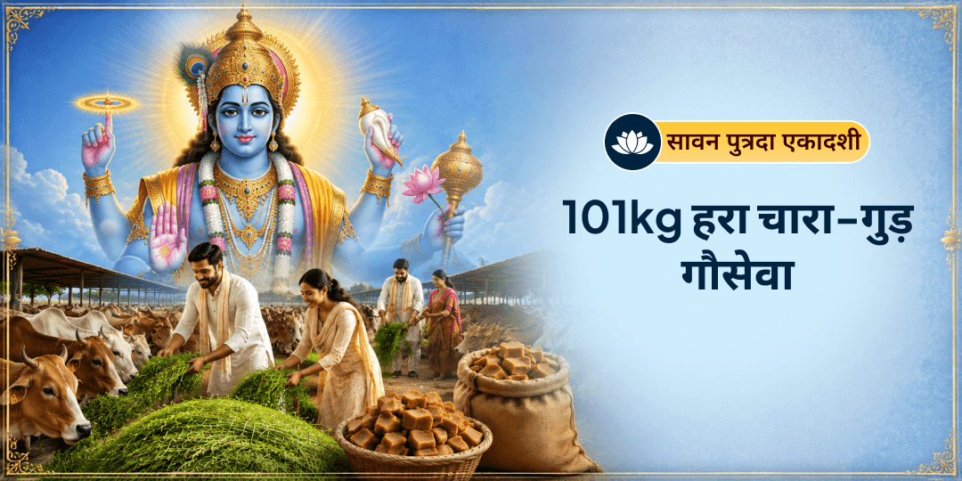 सावन के अंतिम एकादशी - पुत्रदा एकादशी पर कामधेनु स्वरूप गौ माता को 101 किलो हरा चारा - गुड़ गौसेवा - धन-संकट, पितृ दोष, ग्रह-बाधा निवारण हेतु अभी सहभागी बनें!