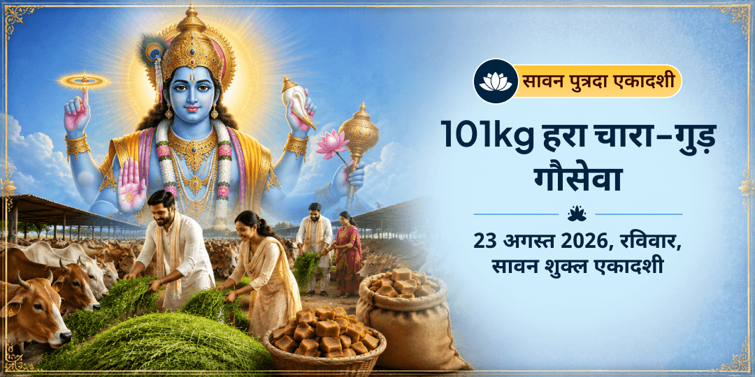 पुत्रदा एकादशी 101 किलो हरा चारा-गुड़ गौ माता सेवा 