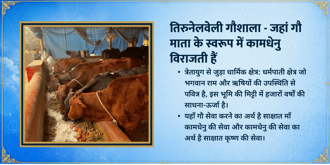 पुत्रदा एकादशी 101 किलो हरा चारा-गुड़ गौ माता सेवा 