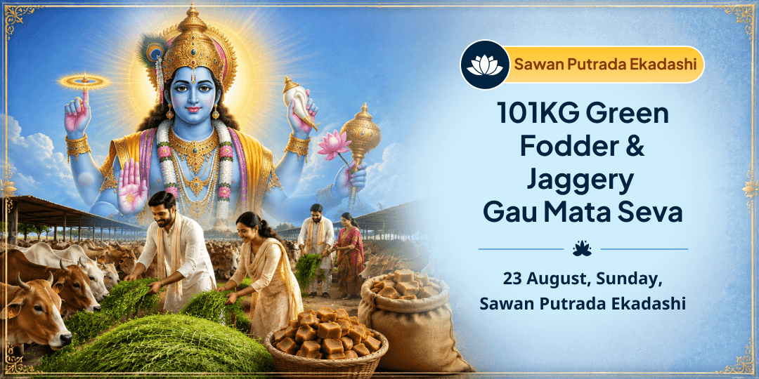 Putrada Ekadashi 101KG Green Fodder & Jaggery Gau Mata Seva 