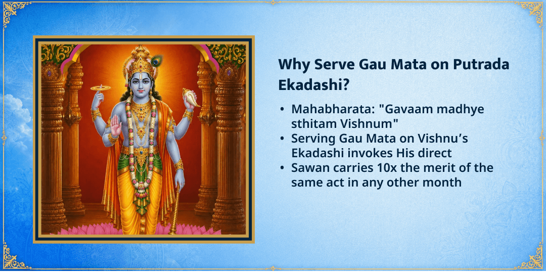 Putrada Ekadashi 101KG Green Fodder & Jaggery Gau Mata Seva 