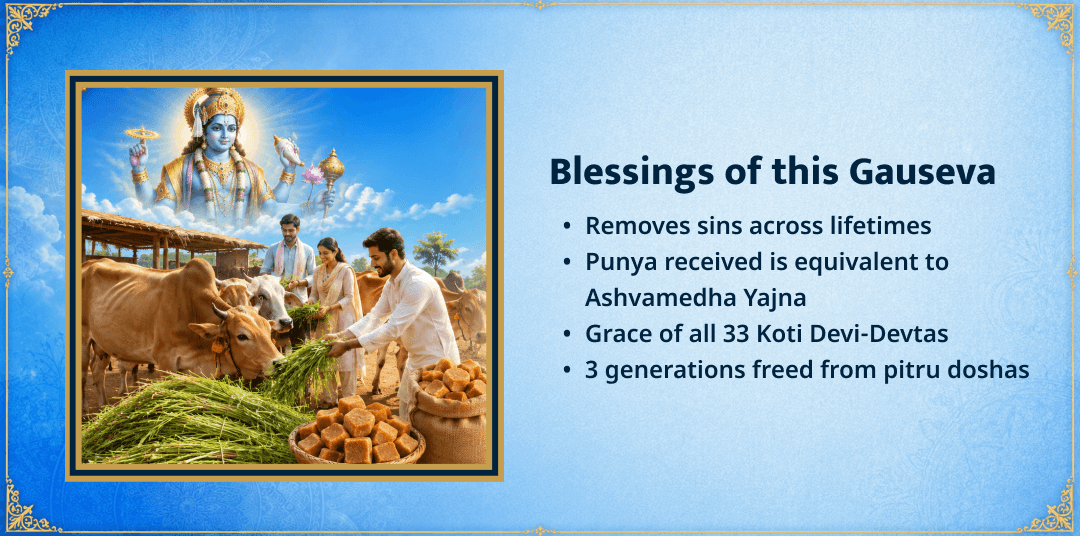 Putrada Ekadashi 101KG Green Fodder & Jaggery Gau Mata Seva 