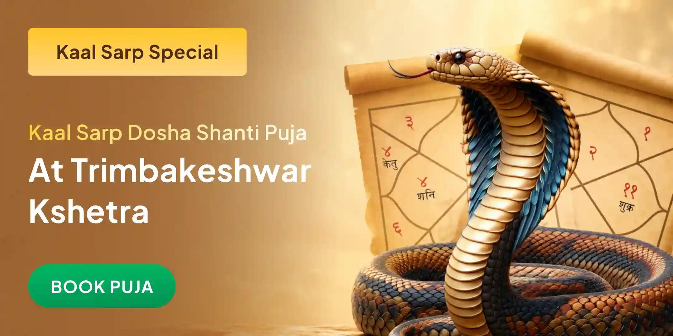 Kaal Sarp Dosh Shanti Puja Trimbakeshwar Kshetra