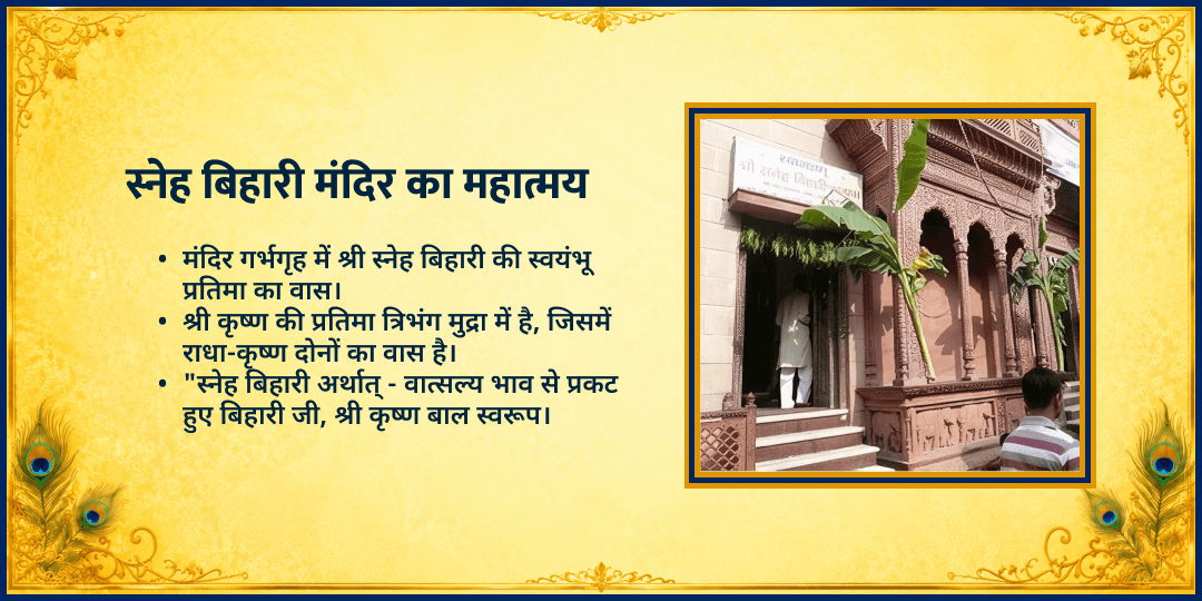 श्री कृष्ण जन्माष्टमी श्री राधा स्नेह बिहारी जी मंदिर चढ़ावा