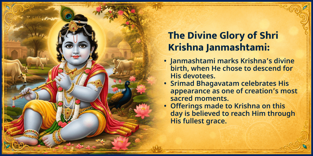 Janmashtami Shri Krishna Janmabhoomi Vrindavan Bhatraund Bihari Ji Chadhava 