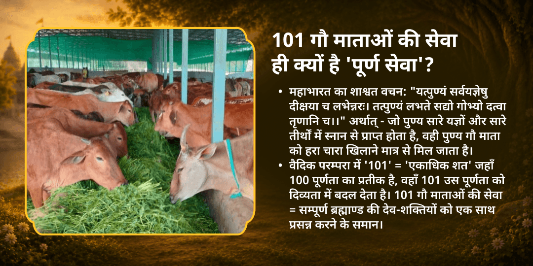 जन्माष्टमी श्री कृष्ण प्रिय 101 गौ माता महासेवा