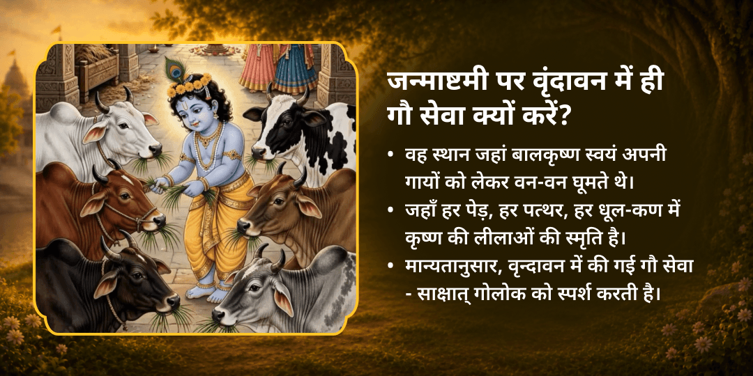 जन्माष्टमी श्री कृष्ण प्रिय 101 गौ माता महासेवा