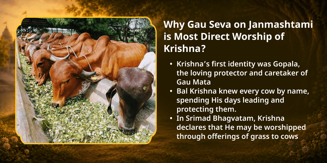 Janmashtami Shri Krishna Priya 101 Gau Mata Seva 