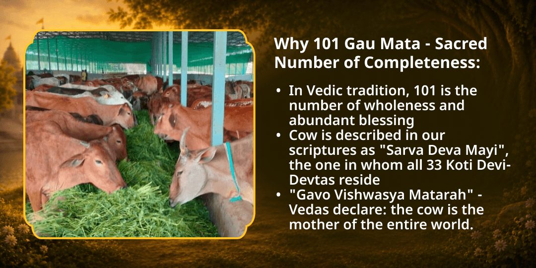Janmashtami Shri Krishna Priya 101 Gau Mata Seva 