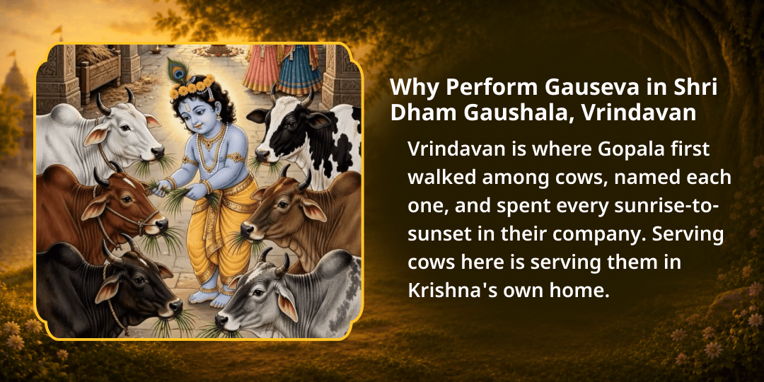 Janmashtami Shri Krishna Priya 101 Gau Mata Seva 
