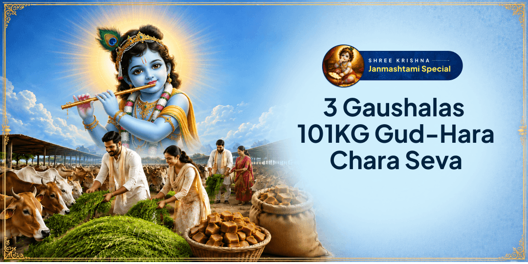 On Krishna Janmotsav, perform 101KG Gud-Hara Chara Mahaseva at 3 Sacred Gaushalas across India - Participate Now!