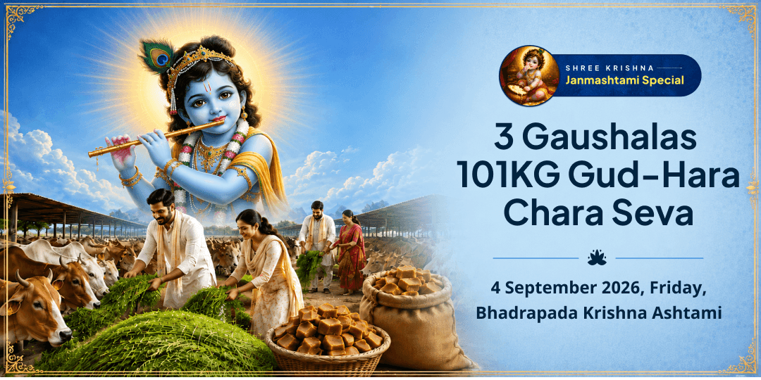 Janmashtami Special 3 Gaushalas 101KG Gud-Hara Chara Seva 