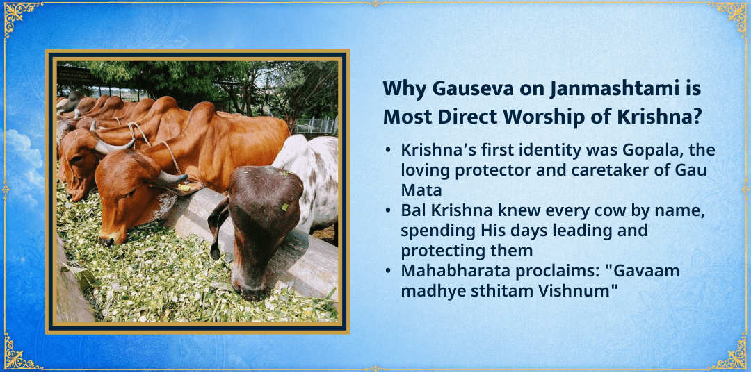 Janmashtami Special 3 Gaushalas 101KG Gud-Hara Chara Seva 