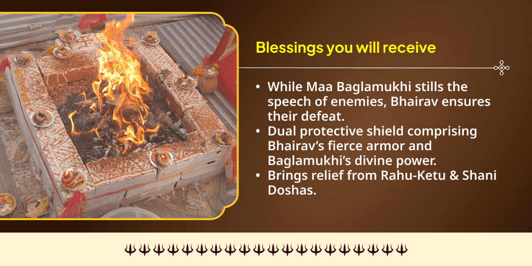 Kalashtami Nazar Dosh & Shatru Shanti Kaal Bhairav-Bagalamukhi Havan Ahuti