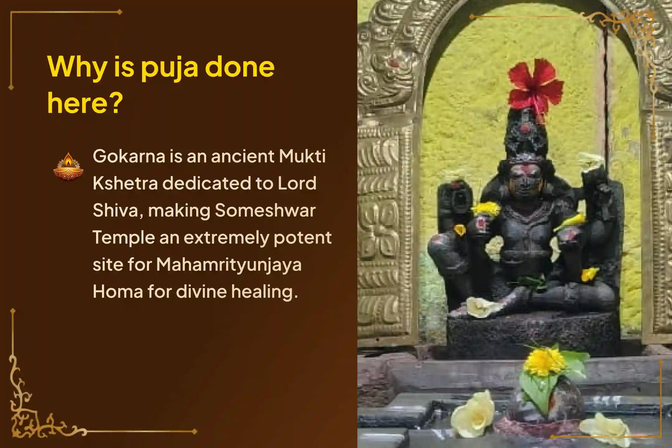 Participate in the 'Gokarna Mahamrityunjaya Homa' on Shravana Monday to invoke Lord Shiva's divine protection, grant long life, and seek blessings of good health for yourself and your family. 