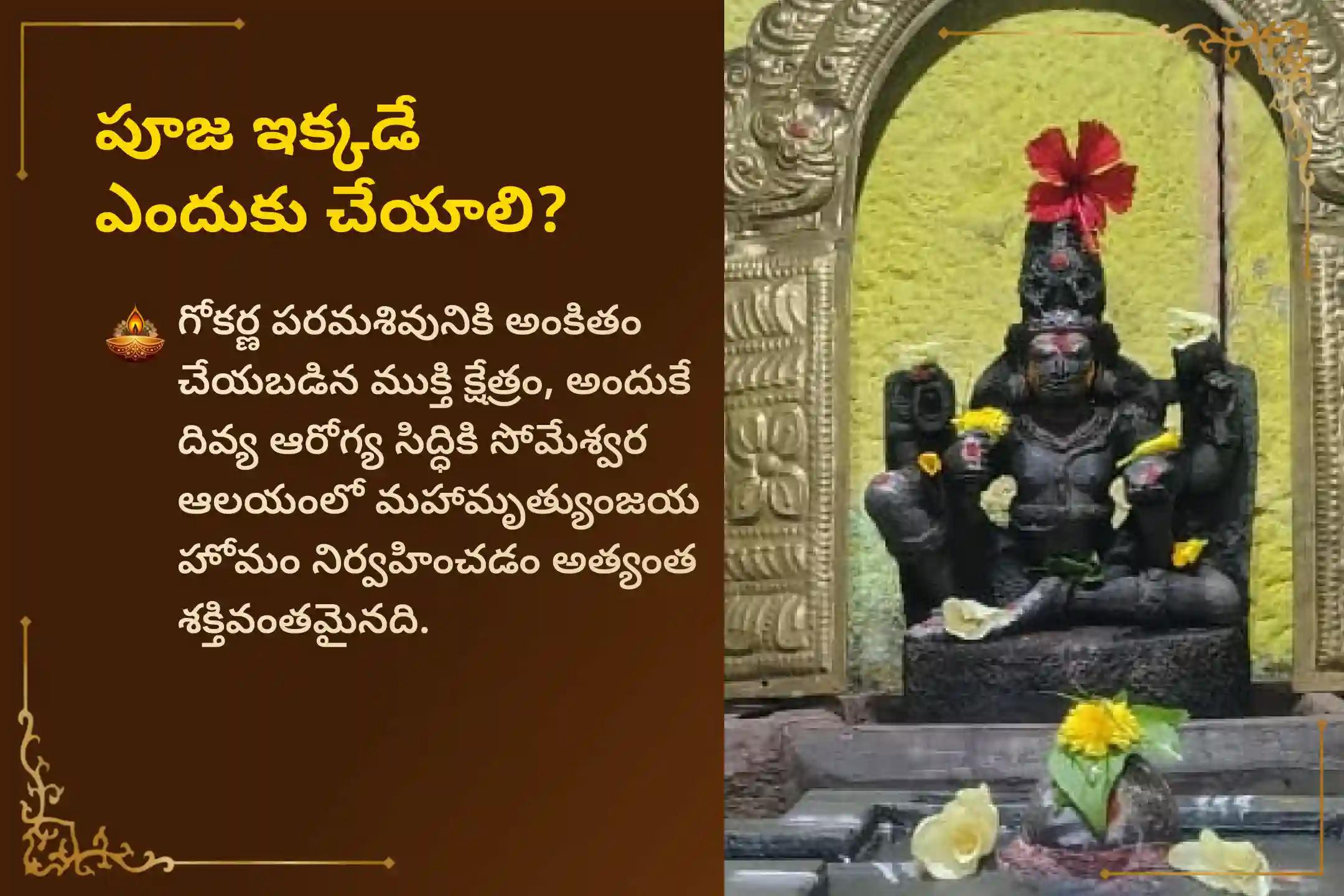 శ్రావణ సోమవారం రోజున జరిగే 'గోకర్ణ మహామృత్యుంజయ హోమం' లో పాల్గొని, పరమశివుని దివ్య రక్షణను, దీర్ఘాయుష్షును మరియు మీ కుటుంబ సభ్యులకు పరిపూర్ణ ఆరోగ్య ఆశీస్సులను పొందండి.🙏