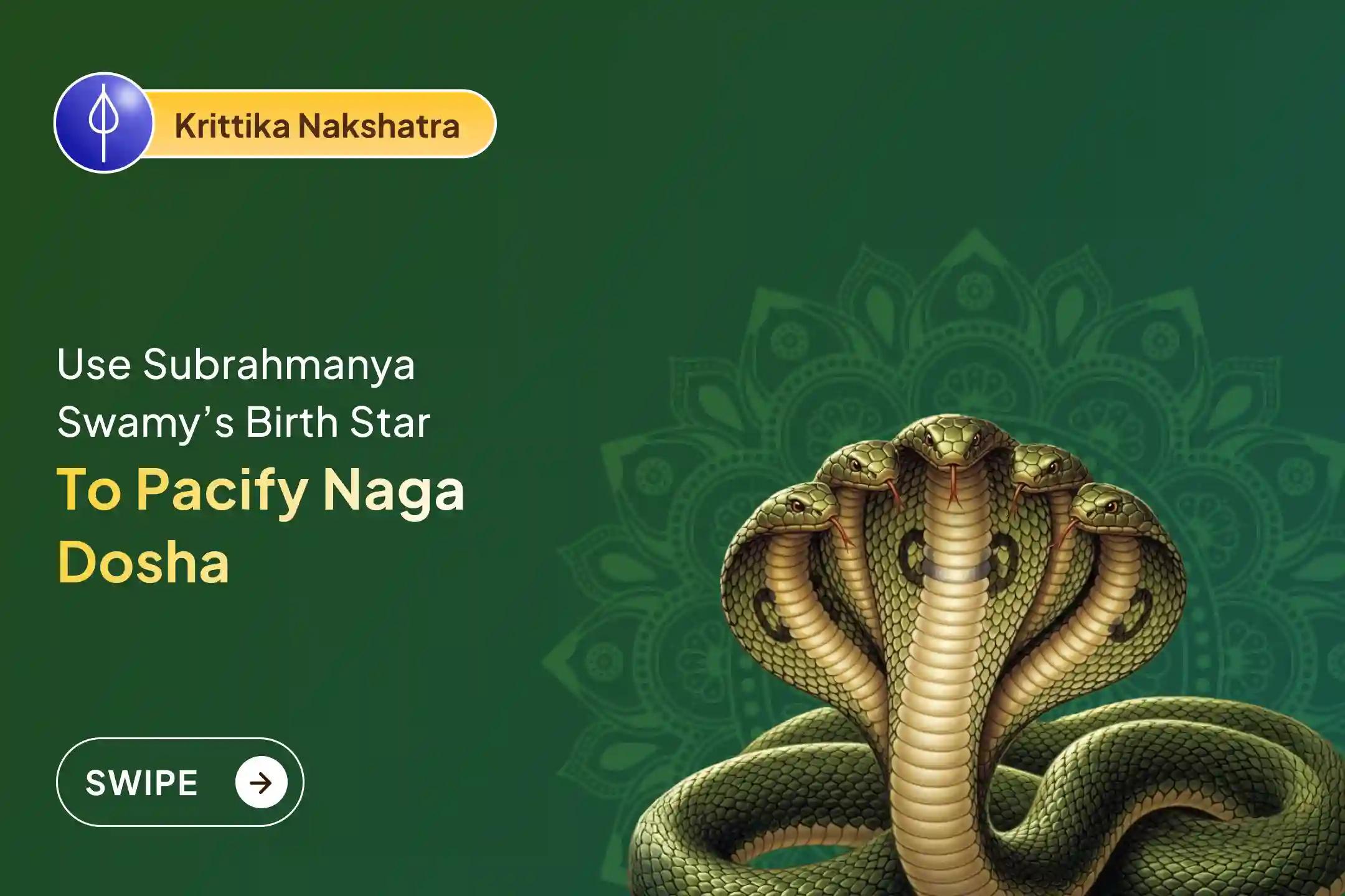 Participate in the Krittika Nakshatra Subrahmanya Special Ashlesha Bali Puja to remove the malicious effects of Sarpa (Naga) Dosha and clean karmic sins