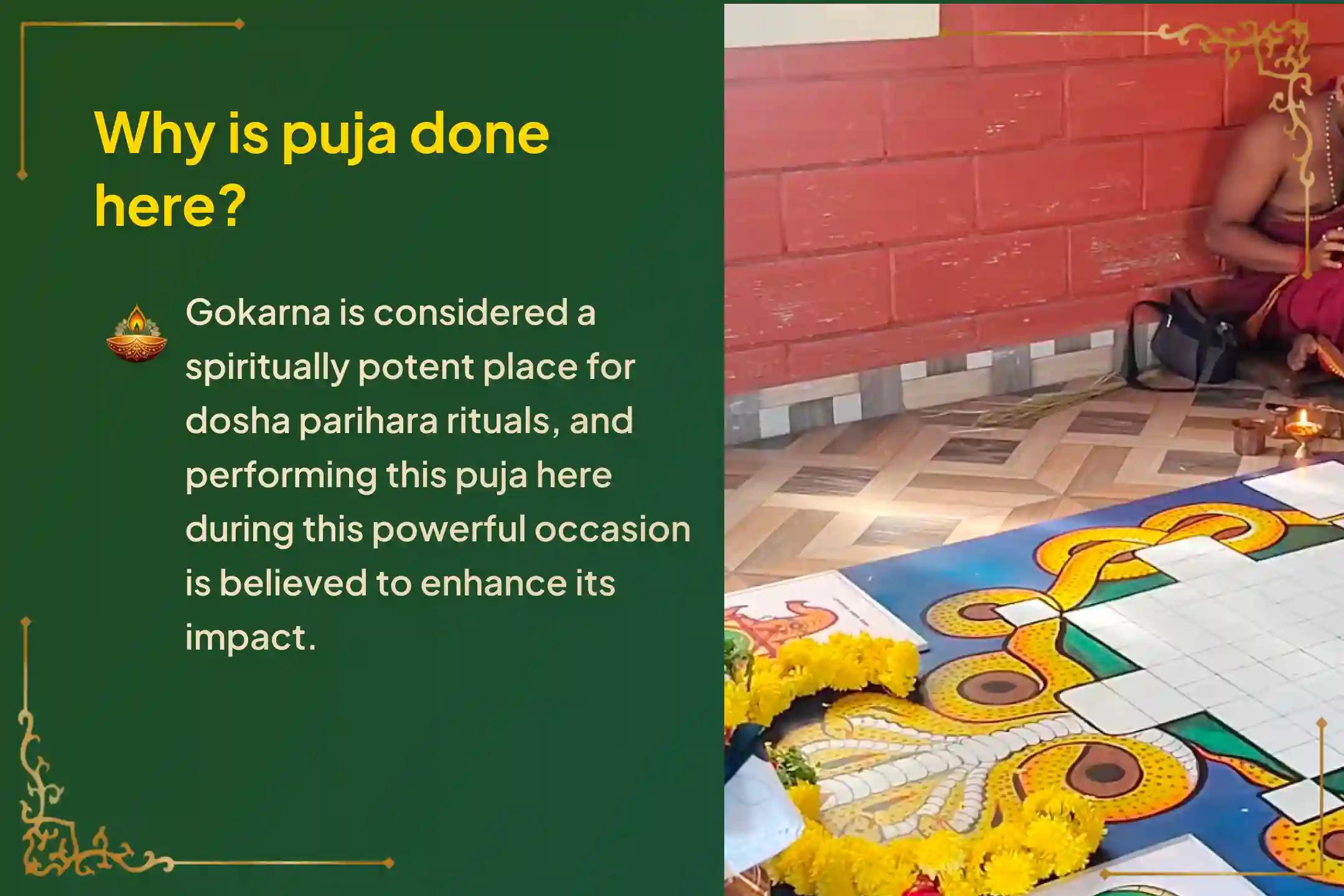 Participate in the Krittika Nakshatra Subrahmanya Special Ashlesha Bali Puja to remove the malicious effects of Sarpa (Naga) Dosha and clean karmic sins