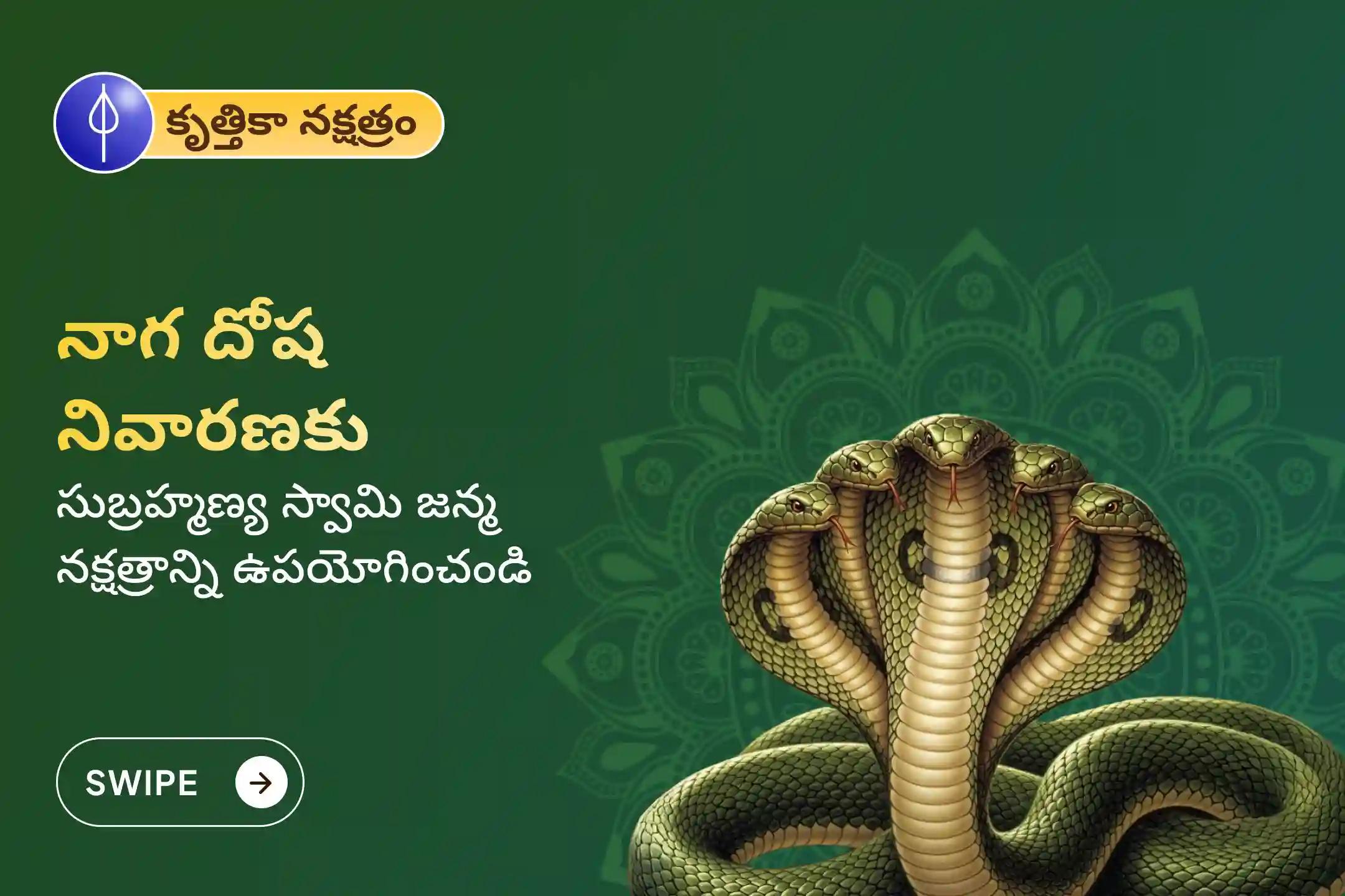 సర్ప (నాగ) దోషం యొక్క దుష్ప్రభావాలను తొలగించి, కర్మ పాపాలను ప్రక్షాళన చేసుకోవడం కొరకు కృత్తికా నక్షత్రం సుబ్రహ్మణ్య ప్రత్యేక ఆశ్లేష బలి పూజలో పాల్గొనండి.