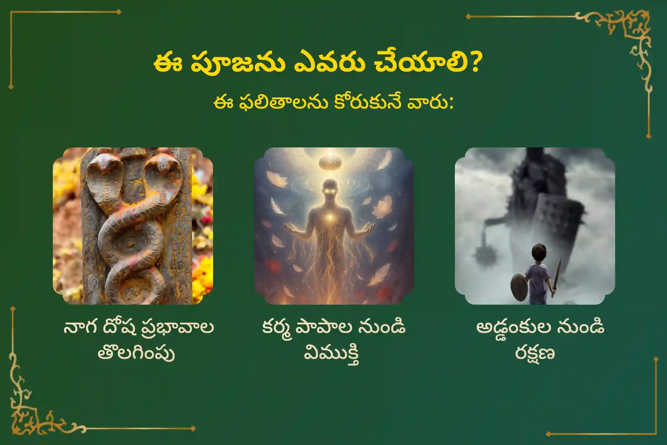 సర్ప (నాగ) దోషం యొక్క దుష్ప్రభావాలను తొలగించి, కర్మ పాపాలను ప్రక్షాళన చేసుకోవడం కొరకు కృత్తికా నక్షత్రం సుబ్రహ్మణ్య ప్రత్యేక ఆశ్లేష బలి పూజలో పాల్గొనండి.
