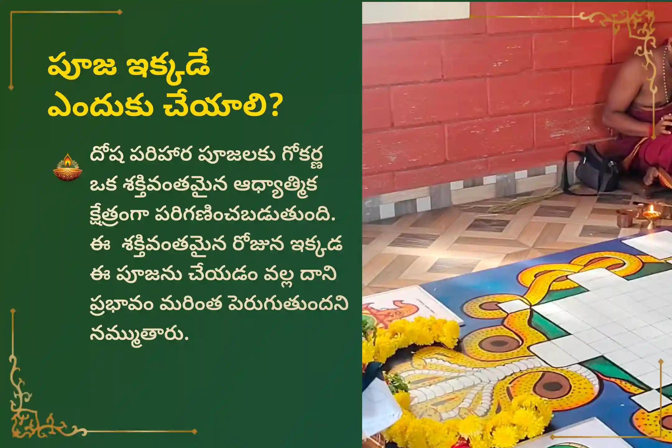 సర్ప (నాగ) దోషం యొక్క దుష్ప్రభావాలను తొలగించి, కర్మ పాపాలను ప్రక్షాళన చేసుకోవడం కొరకు కృత్తికా నక్షత్రం సుబ్రహ్మణ్య ప్రత్యేక ఆశ్లేష బలి పూజలో పాల్గొనండి.