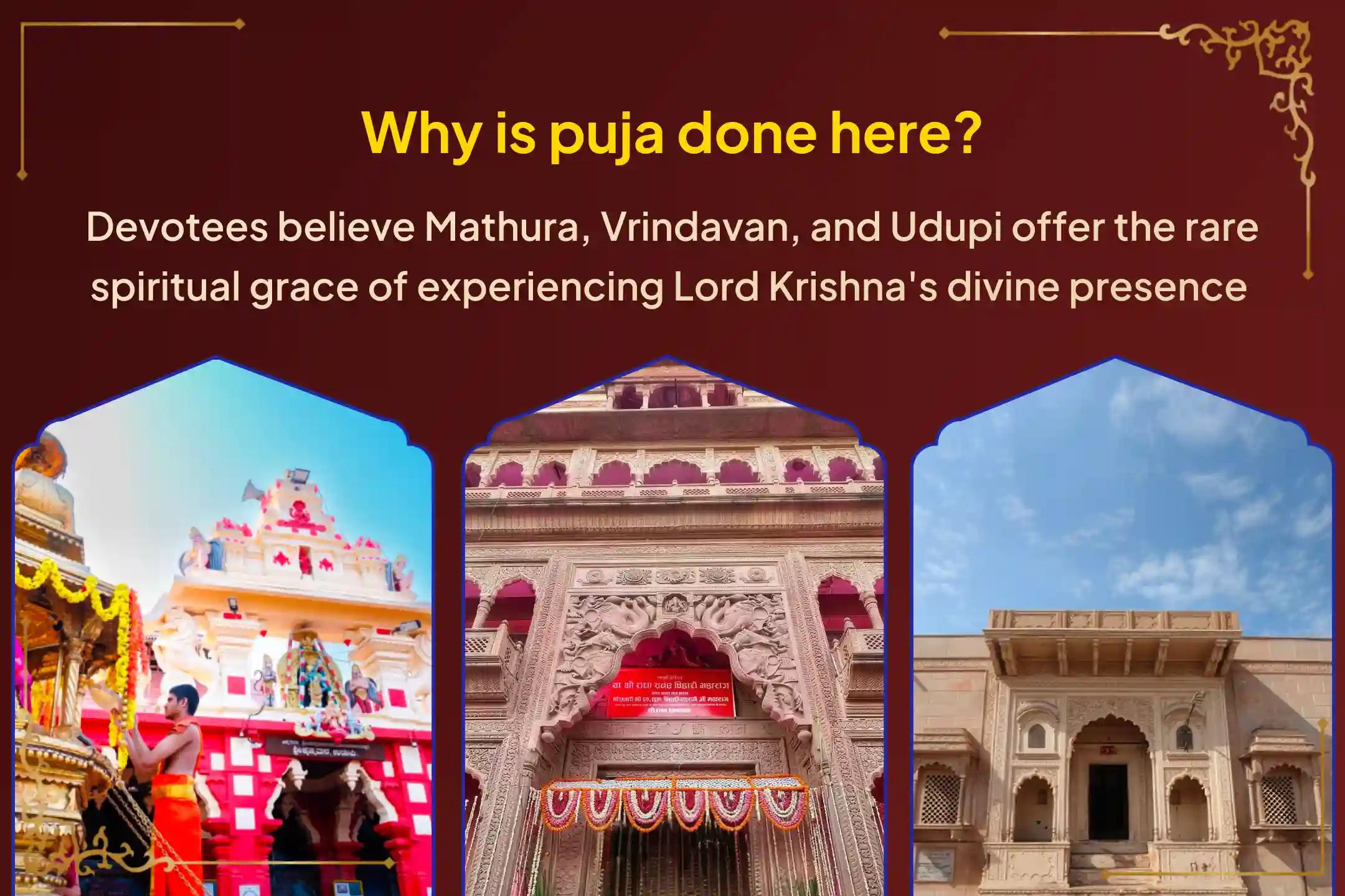 ಕೃಷ್ಣಾಷ್ಟಮಿಯ ಪವಿತ್ರ ಪರ್ವದಿನದಂದು ನಿಮ್ಮ ಕುಟುಂಬದಲ್ಲಿ ಸಮೃದ್ಧಿ, ಶ್ರೇಯಸ್ಸು ಮತ್ತು ಐಶ್ವರ್ಯವನ್ನು ಆಹ್ವಾನಿಸಲು ಹಾಗೂ ಶ್ರೀಕೃಷ್ಣನ ದಿವ್ಯ ಅನುಗ್ರಹವನ್ನು ಪಡೆಯಲು '3 ದಿವ್ಯ ಕ್ಷೇತ್ರಗಳಾದ ಉಡುಪಿ, ಬೃಂದಾವನ ಮತ್ತು ಮಥುರಾ ಮಧ್ಯರಾತ್ರಿ ವಿಶೇಷ ಪೂಜೆ ಹಾಗೂ ಸೇವೆ'ಯಲ್ಲಿ ಭಕ್ತಿಯಿಂದ ಪಾಲ್ಗೊಳ್ಳಿ 🙏