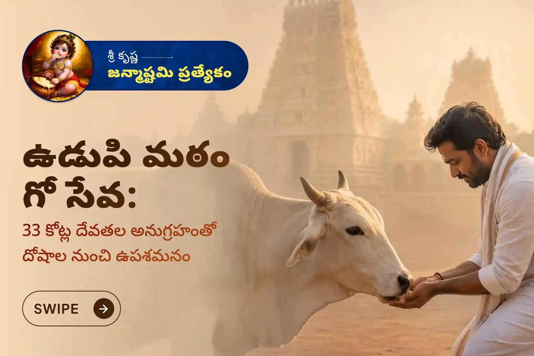 కృష్ణ జన్మాష్టమి శుభదినాన 'గో పూజ మరియు గో సేవ' లో పాల్గొని 33 కోట్ల దేవతల దివ్యానుగ్రహాన్ని పొందండి మరియు గ్రహ దోషాలను నివారించుకోండి.🙏