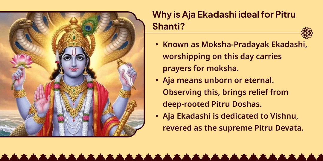 Aja Ekadashi Pitru Shanti Ahuti & Panda Seva