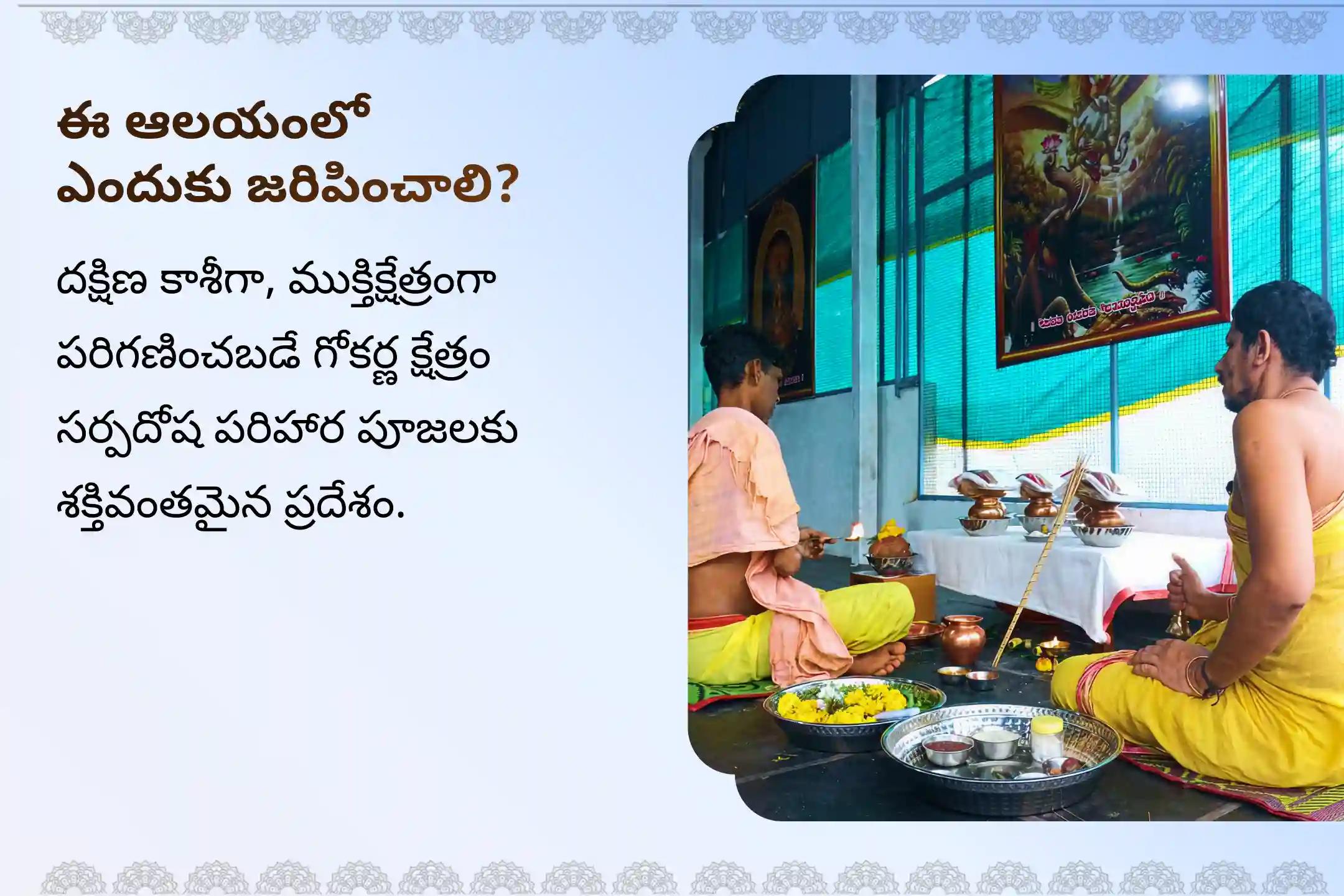 సర్ప (నాగ) దోషం యొక్క దుష్ప్రభావాలను తొలగించి, కర్మ పాపాలను ప్రక్షాళన చేసుకోవడం కొరకు ఆశ్లేష నక్షత్ర గోకర్ణ స్పెషల్ ఆశ్లేష బలి పూజలో పాల్గొనండి.