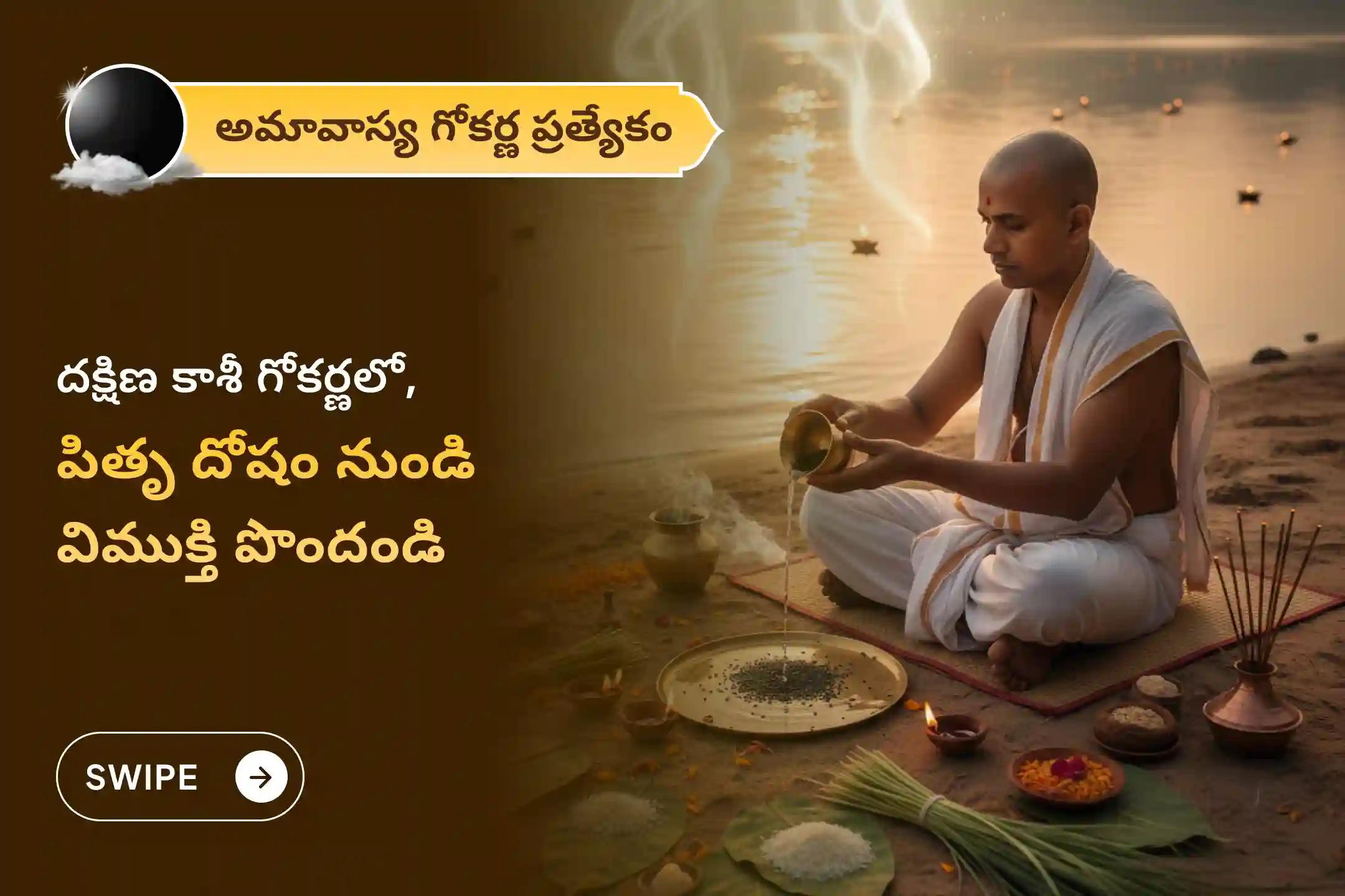 పితృల శాపాల నుండి విముక్తి అలాగే మరణించిన ఆత్మలకు శాంతి కోసం అమావాస్య గోకర్ణ క్షేత్రం పితృ శాంతి ప్రత్యేక నారాయణ బలి పూజ, త్రిపిండి శ్రాద్ధం, పితృ దోష శాంతి పూజ మరియు తిల హోమంలో పాల్గొనండి.