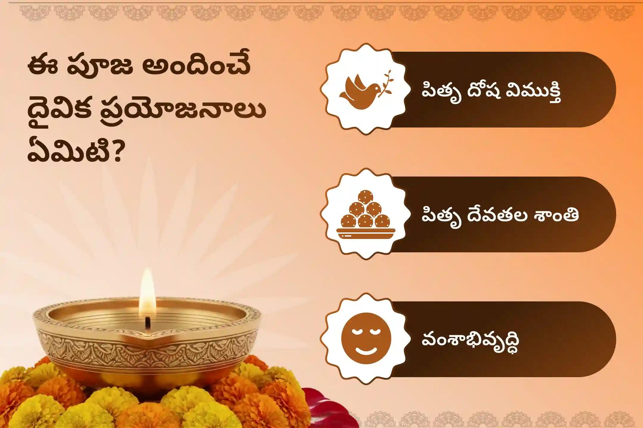 పితృల శాపాల నుండి విముక్తి అలాగే మరణించిన ఆత్మలకు శాంతి కోసం అమావాస్య గోకర్ణ క్షేత్రం పితృ శాంతి ప్రత్యేక నారాయణ బలి పూజ, త్రిపిండి శ్రాద్ధం, పితృ దోష శాంతి పూజ మరియు తిల హోమంలో పాల్గొనండి.