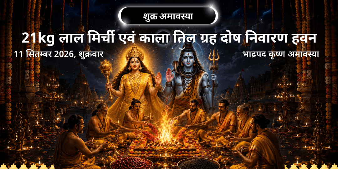 शुक्र अमावस्या 21kg लाल मिर्ची नज़र दोष हवन आहुति - 21kg रूद्र काला तिल ग्रह दोष निवारण हवन आहुति