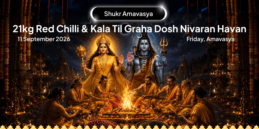 Shukr Amavasya 21KG Red Chilli Nazar Dosha - 21KG Rudra Kala Til Graha Dosh Nivaran Havan Ahuti