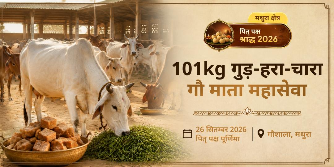 पितृ पक्ष श्राद्ध मोक्ष तीर्थ मथुरा 101kg गुड़-हरा-चारा गौ माता महासेवा