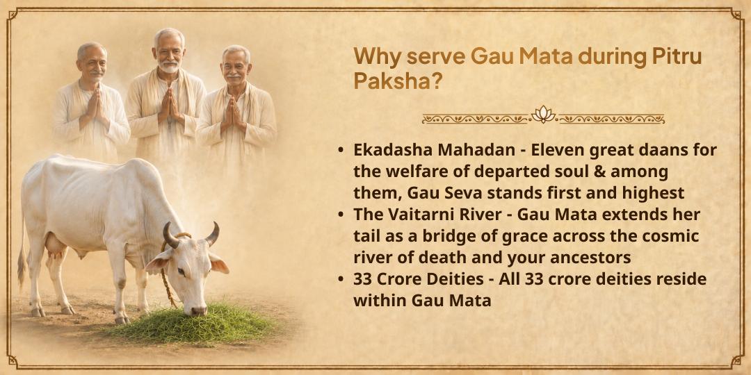 Pitru Paksha Shraddh Moksha Teertha Mathura 101 kg Gud-Hara Chara Gau Mata Seva