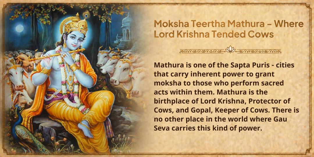 Pitru Paksha Shraddh Moksha Teertha Mathura 101 kg Gud-Hara Chara Gau Mata Seva