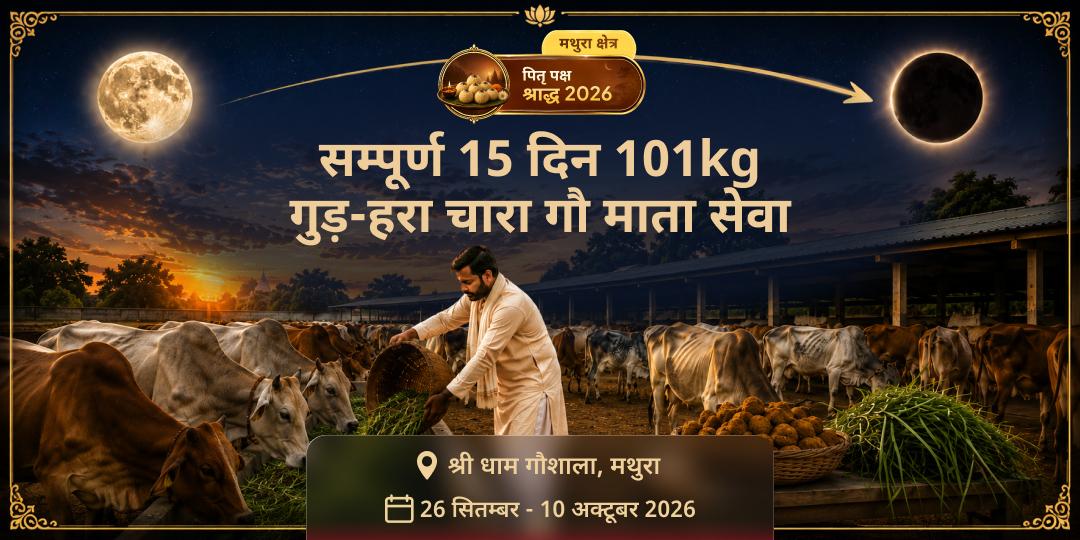पितृ पक्ष सम्पूर्ण 15 दिन मोक्ष पुरी मथुरा 101 किलो गुड़-हरा-चारा गौ माता महासेवा