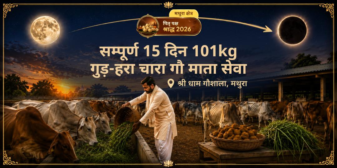 पितृ पक्ष के सम्पूर्ण 15 दिन एक साथ बुक करें - मोक्ष तीर्थ मथुरा की गोशाला में प्रतिदिन 101 किलो गुड़-हरा-चारा गौ माता सेवा - अभी सहभागी बनें!