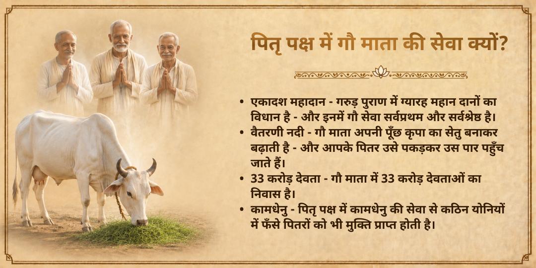 पितृ पक्ष सम्पूर्ण 15 दिन मोक्ष पुरी मथुरा 101 किलो गुड़-हरा-चारा गौ माता महासेवा