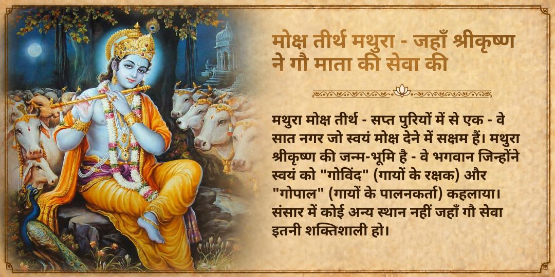 पितृ पक्ष सम्पूर्ण 15 दिन मोक्ष पुरी मथुरा 101 किलो गुड़-हरा-चारा गौ माता महासेवा