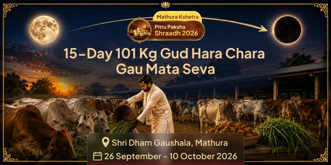 Pitru Paksha Shraddh 15-Day 101Kg Gud-Hara Chara Gau Mata Seva in Mathura