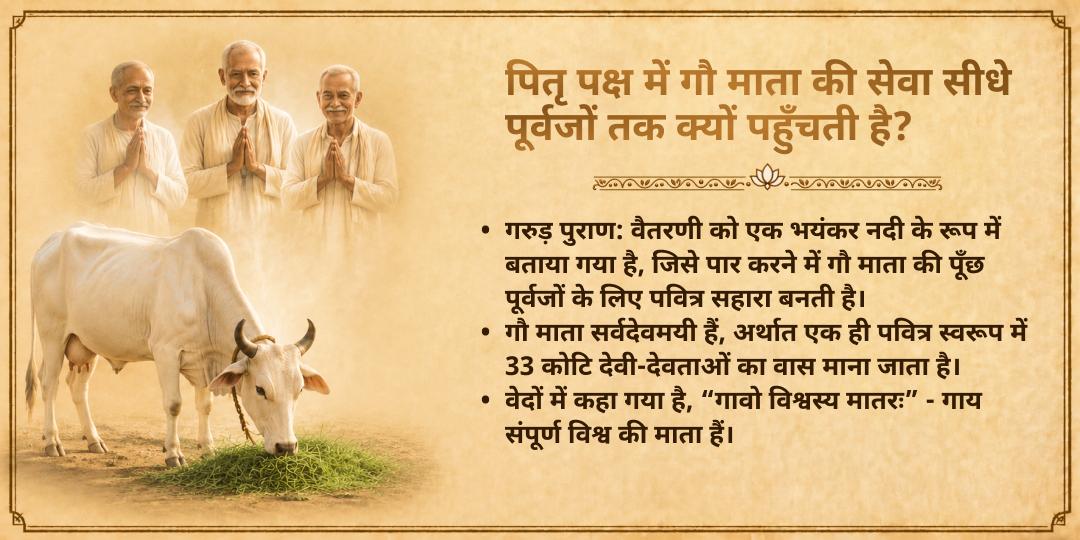 पितृ पक्ष श्राद्ध गौ माता सेवा तिरुनेलवेली