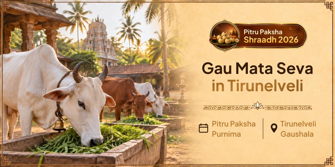 Serve Gau Mata So Your Ancestor Finds Safe Crossing - Perform Gauseva at Tirunelveli