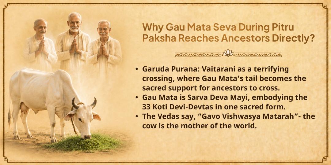 Pitru Paksha Shraddh Gau Mata Seva in Tirunelveli 