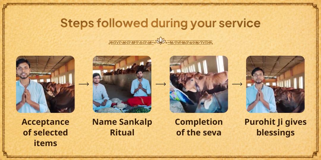 Pitru Paksha Shraddh Gau Mata Seva in Tirunelveli 